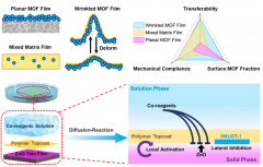 浙大研发全新褶皱 MOF 薄膜：利好可穿戴设备、医疗健康等，